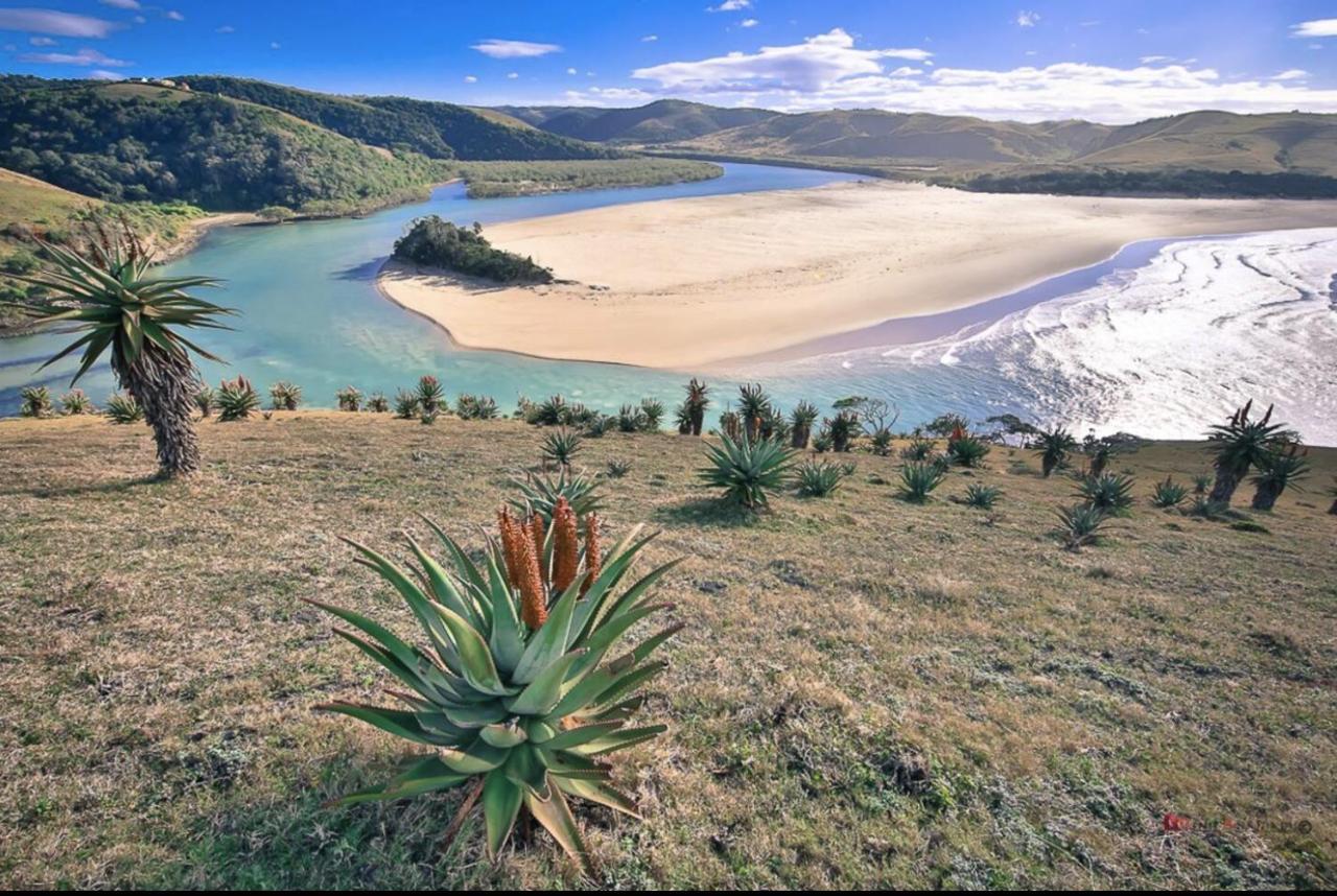 Raptors View Coffee Bay Zewnętrze zdjęcie