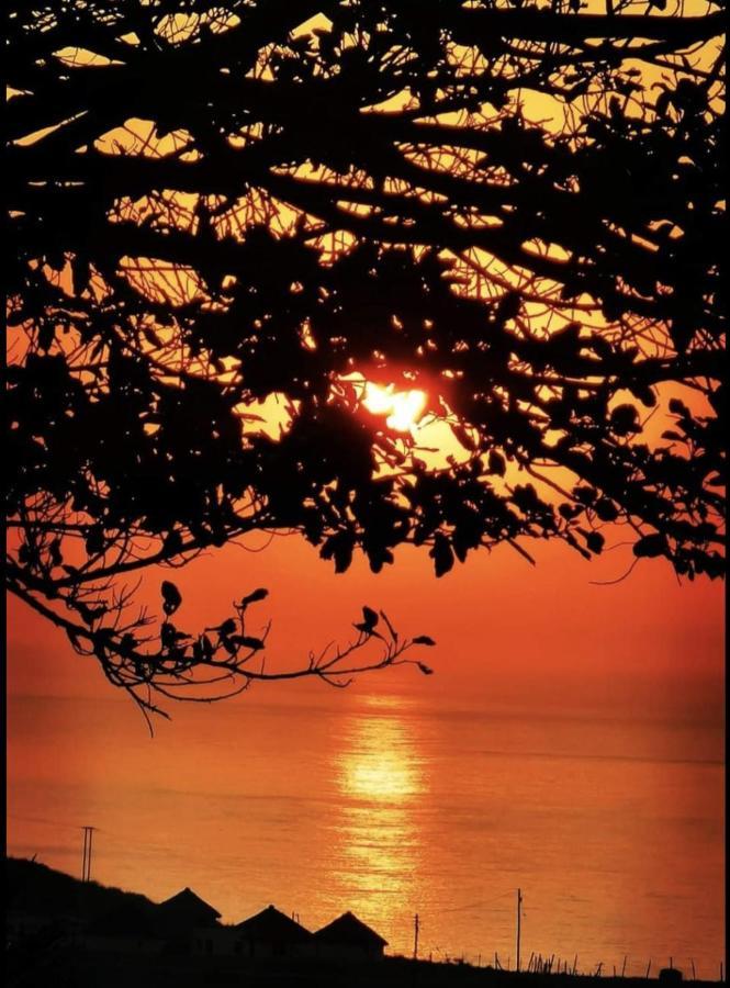 Raptors View Coffee Bay Zewnętrze zdjęcie