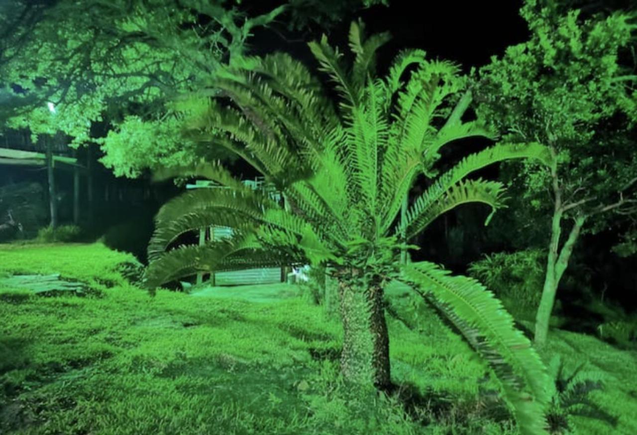 Raptors View Coffee Bay Zewnętrze zdjęcie